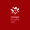 ImageBiopsy Lab